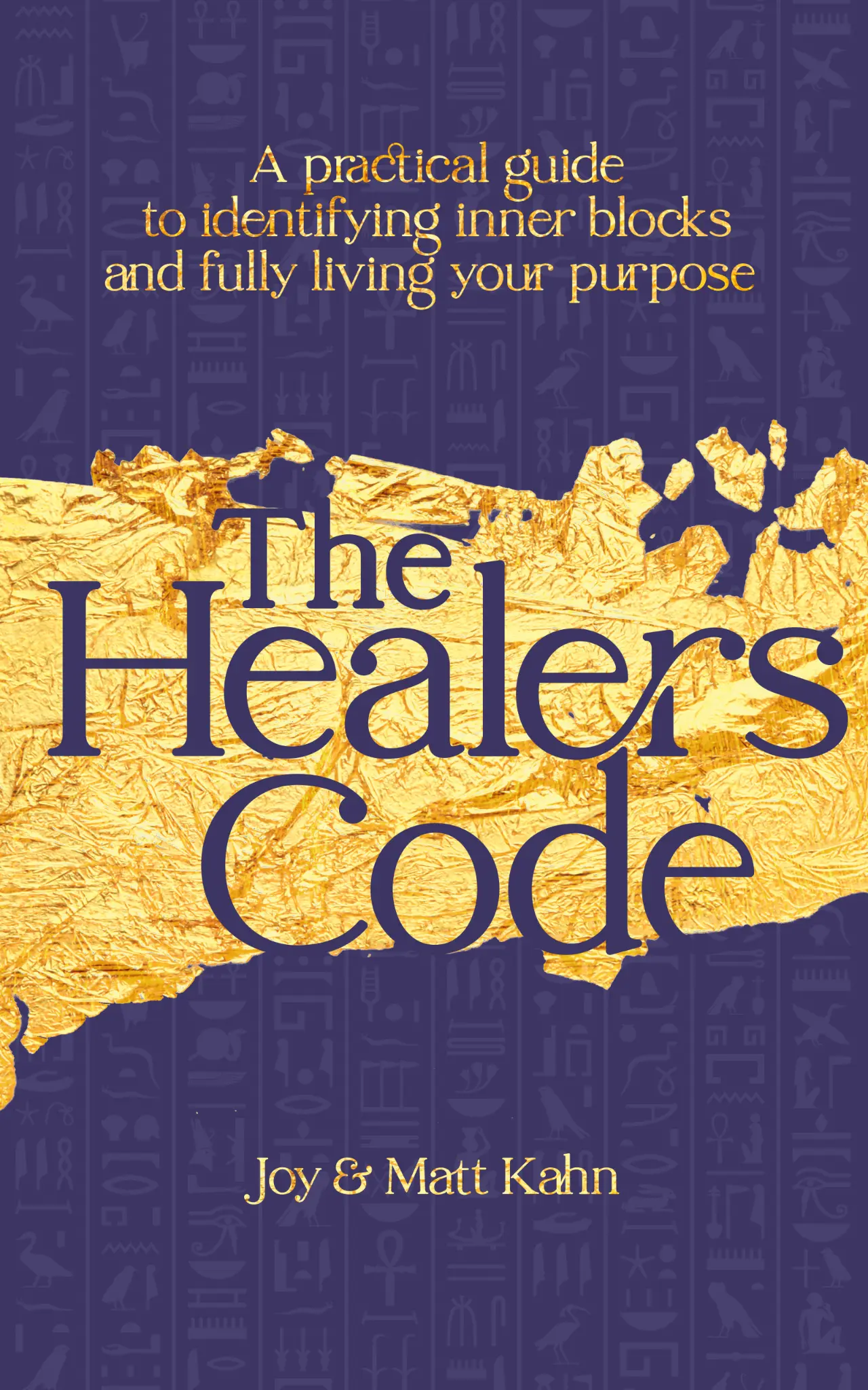The Healer's Code book cover